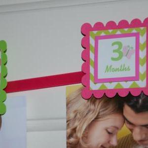 First Year Photo Clips, First Year Banner, Chevron..