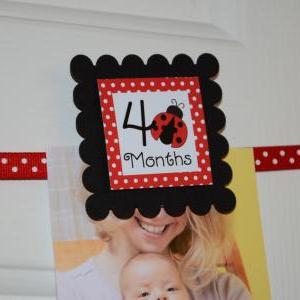First Year Photo Clips, First Year Banner, Black..