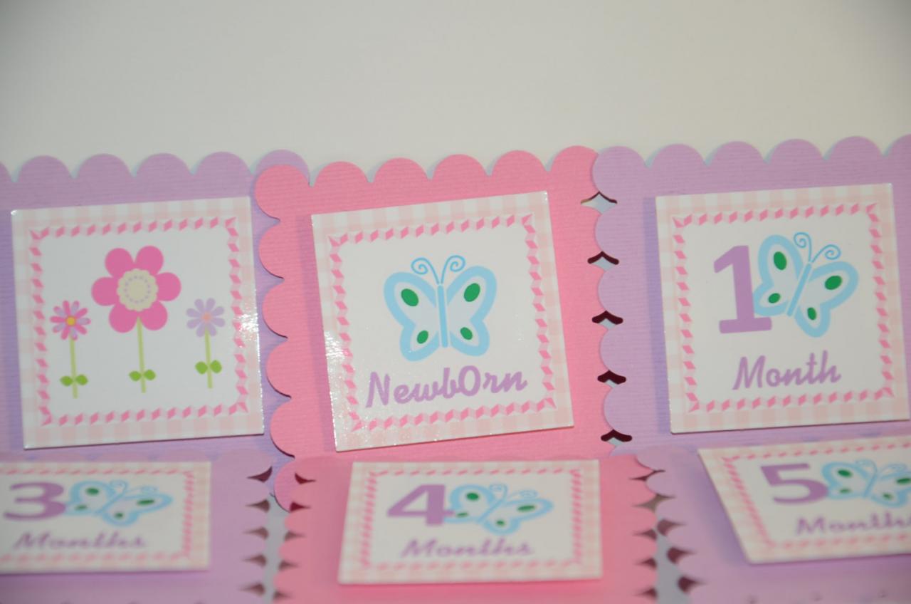 First Year Photo Mini Clips, First Year Banner, Butterfly Garden Birthday Party, Pink, Light Purple And Blue Butterfly