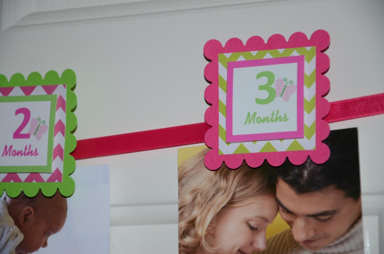 First Year Photo Clips, First Year Banner, Chevron Print, Pink And Lime Green, Butterfly And Chevron Print Theme