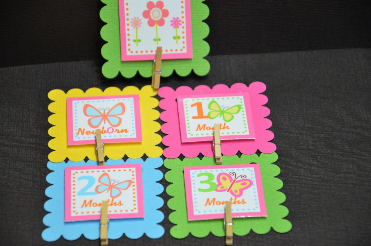 First Year Photo Mini Clips, First Year Banner, Butterfly Garden Birthday Party, Any Theme