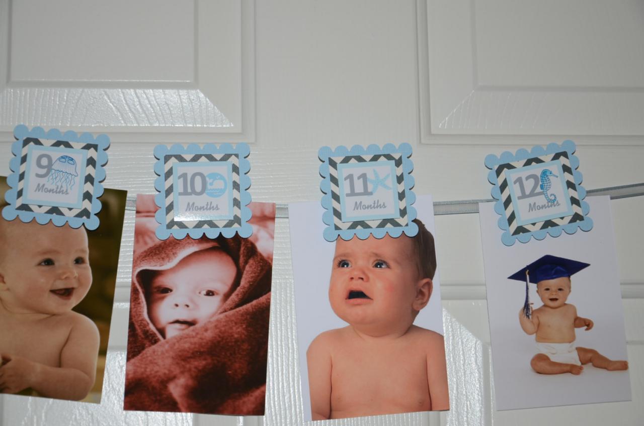 First Year Photo Clips, First Year Banner, Chevron Print And Light Blue, Whale, Dolphin, Seahorse And Starfish Theme