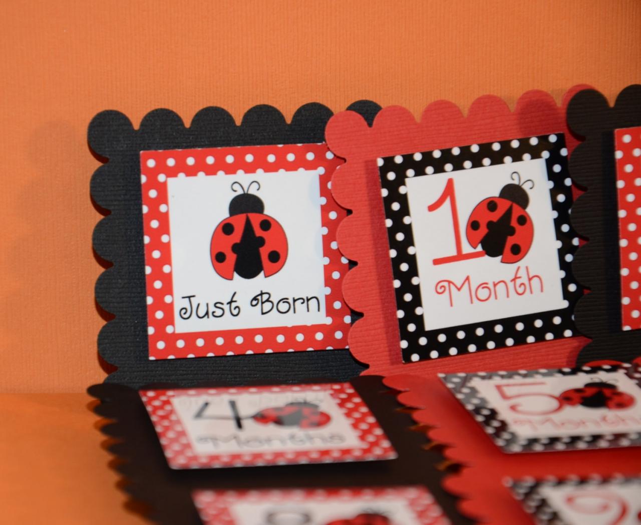 First Year Photo Clips, First Year Banner, Black And Red Dots, Lady Bug Theme