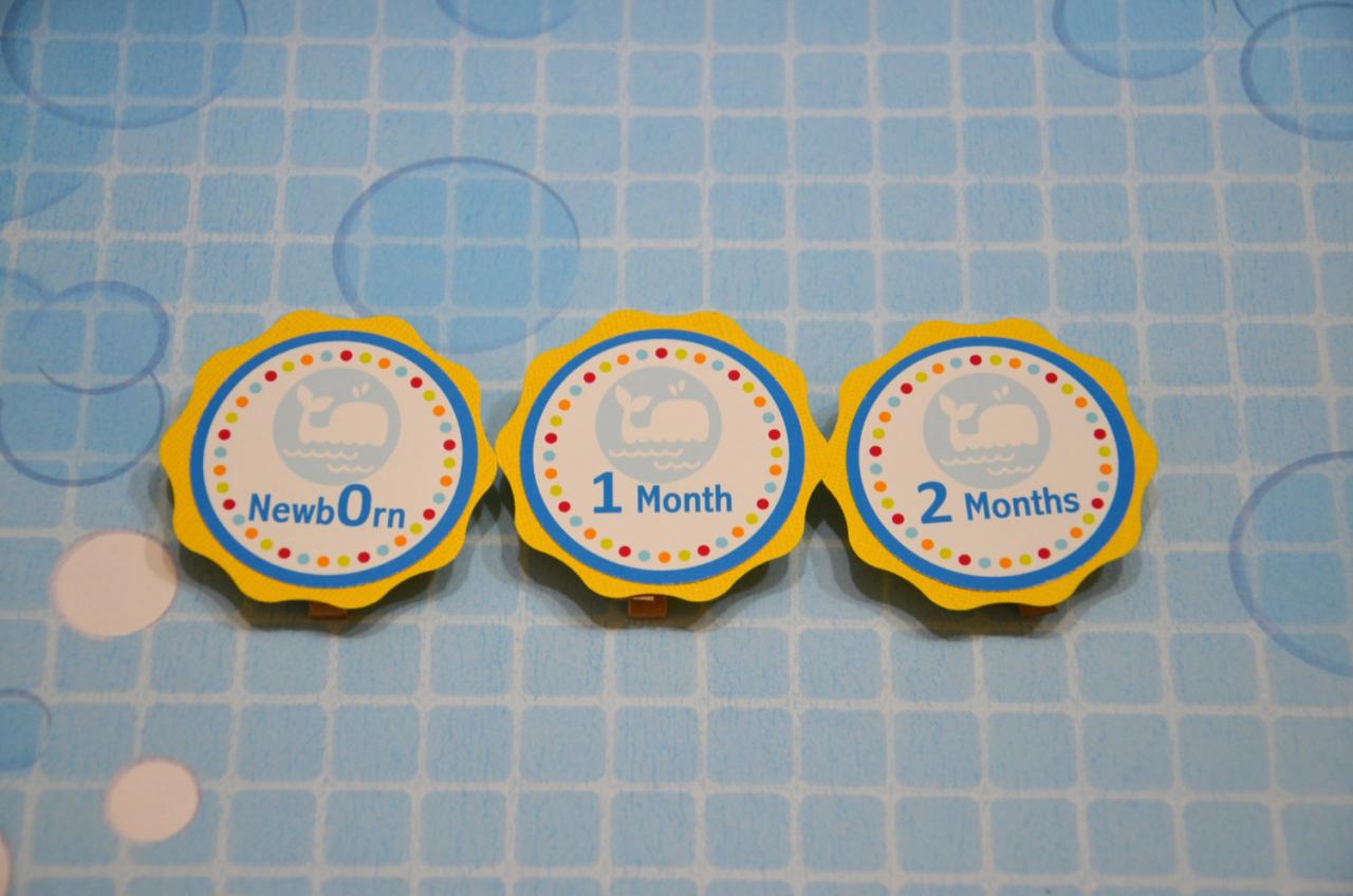First Year Photo Clips, First Year Banner, Whale Birthday Party, Any Theme