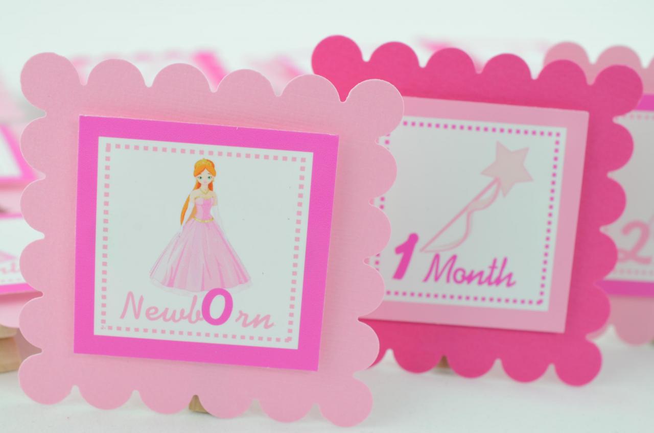 First Year Photo Mini Clips, First Year Banner, Princess Birthday Party, Any Theme, Pink And Pink